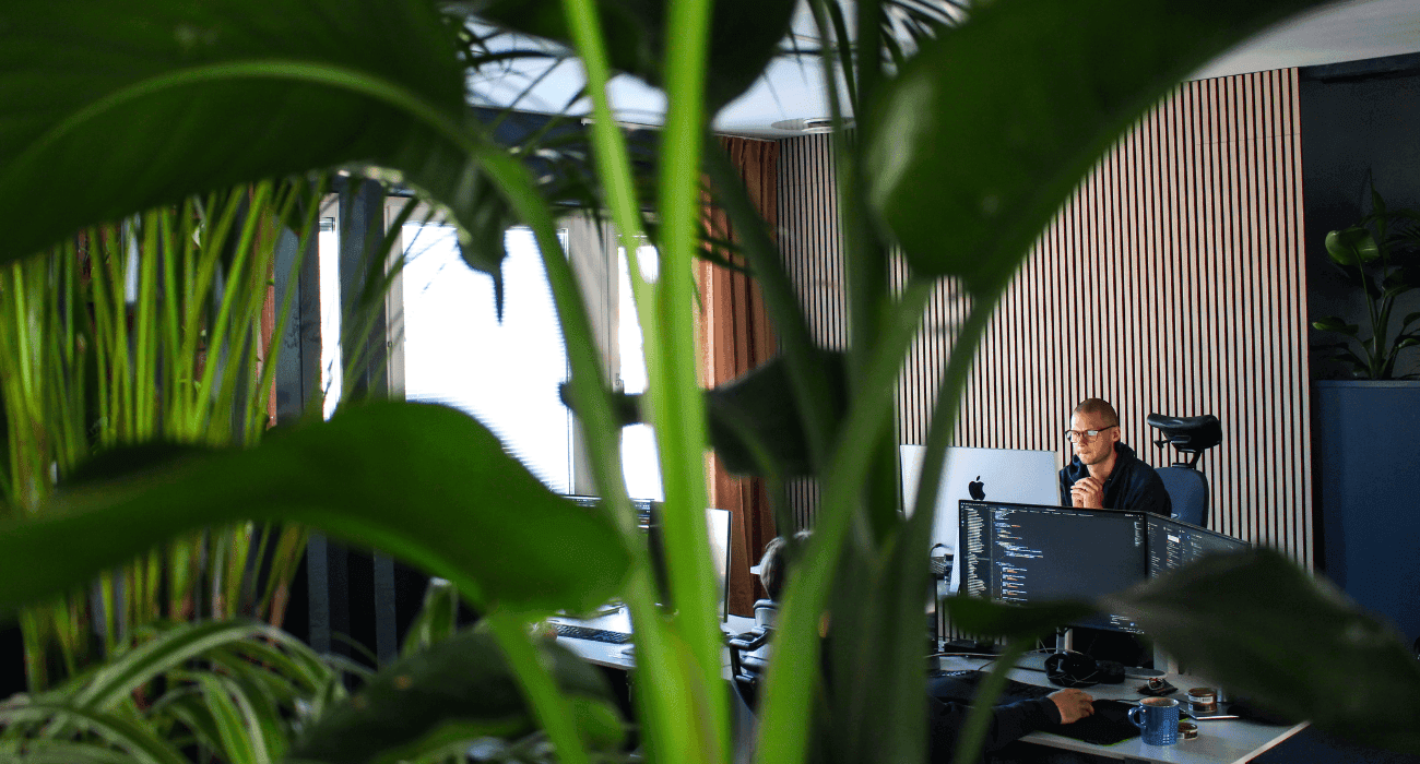 Utvecklare på Majako arbetar i kontorsmiljö med växter.